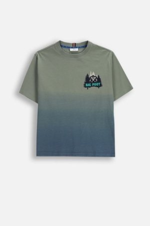 COCCODRILLO t-särk, rohelised, cm 