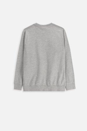 COCCODRILLO t-särgid EVERYDAY BOY A, hall, cm 