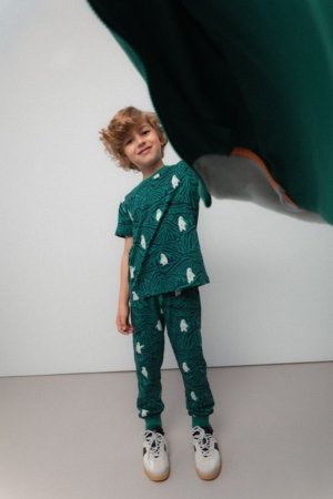 COCCODRILLO t-särk, mitmevärviline, cm 