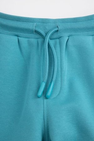 COCCODRILLO püksid, rohelised, 