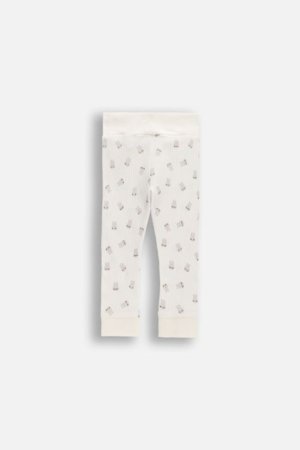 COCCODRILLO retuusid, kreemikat, WC6122103HUN-003-074, 74 suurus 