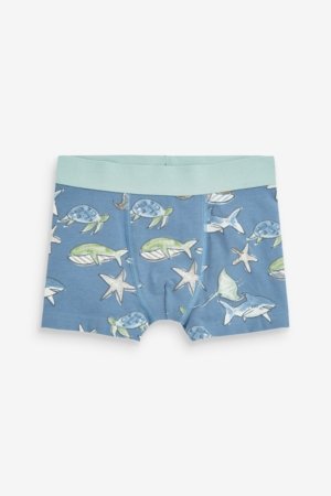 NEXT aluspüksid, 5tk., C54303 122-128 