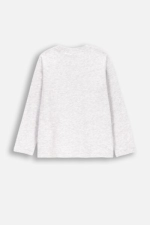 COCCODRILLO long sleeved t-shirt EVERYDAY BOY A, hallid, ZC4143103VBA-019-152, 152 cm 