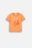 COCCODRILLO lühikeste varrukatega särk SAGE TIME BOY NEWBORN, oranž, WC5143201SBN-006-086, 86 cm 