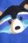 COCCODRILLO sweatshirt FOREST FRIENDS KIDS, cobalt, ZC4132301FBK-032-122, 122 cm 