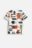 COCCODRILLO lühikeste varrukatega särk SAGE TIME BOY KIDS, valge, WC5143201SBK-001-122, 122 cm 