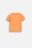 COCCODRILLO lühikeste varrukatega särk SAGE TIME BOY NEWBORN, oranž, WC5143201SBN-006-086, 86 cm 