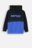 COCCODRILLO sweatshirt FOREST FRIENDS JUNIOR, multicoloured, ZC4132301FBJ-022-164, 164 cm 