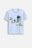 COCCODRILLO lühikeste varrukatega särk LICENCE BOY, sinine, WC5143202LBD-036-122, 122 cm 