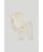 MOTHERCARE 3-osaline komplekt beebile, LL802 74 